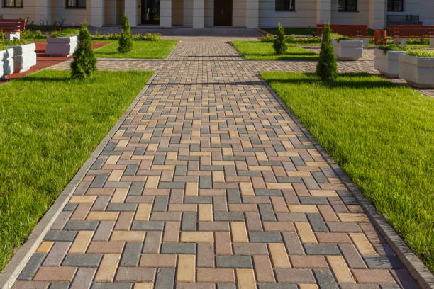 Best Decorative Driveway Pavers  in Wisr, NE